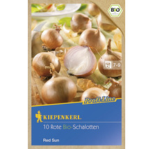 Kiepenkerl 10 rote Bio-Schalotten, Sorte Red Sun, mit Bio Siegel
