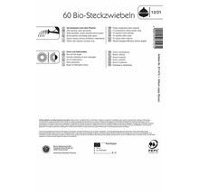 BIO Steckzwiebeln Kiepenkerl Sturon Gr. 12/21 60 Stk.
