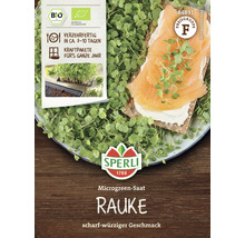 Rucola Sperli Grünsprossen