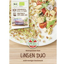 Sperli Linsen Duo Keimsprossen-Saat auf Verpackung und Teller angerichtet