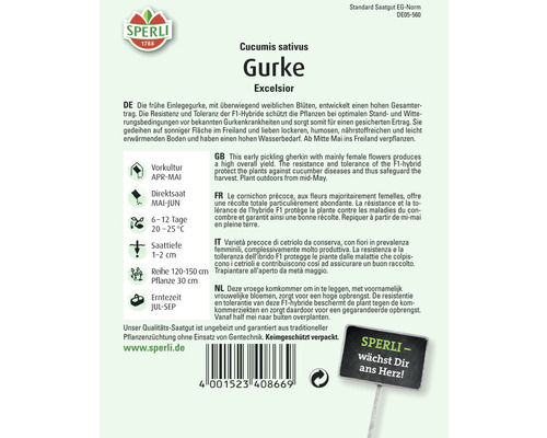 Sperli Gurke Excelsior Saatgutpackung