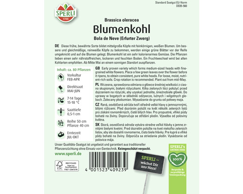 Sperli Blumenkohl Bola de Neve (Erfurter Zwerg) Saatgutpackung