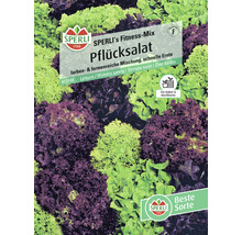 Kopfsalat Sperli Gemüsesamen Salatsamen