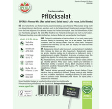 Kopfsalat Sperli Gemüsesamen Salatsamen