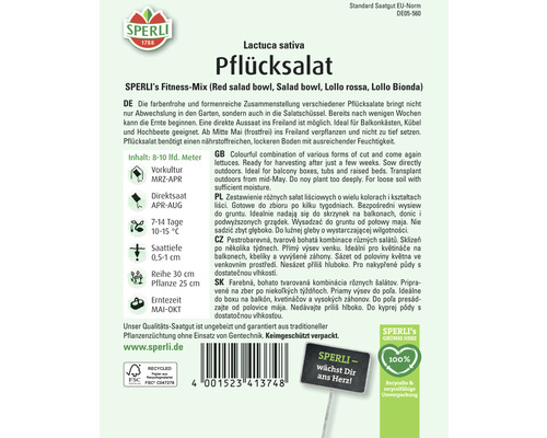 Samenpackung Pflücksalat