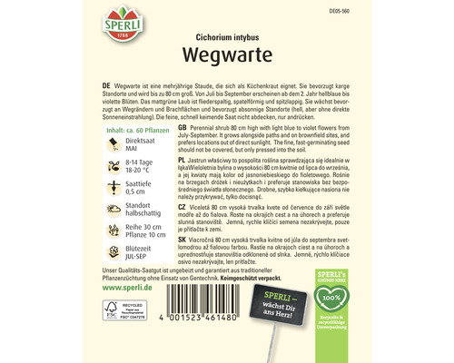 Samenpackung Wegwarte