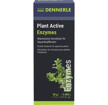Aquariumpflanzendünger Dennerle Plant Active Enzymes