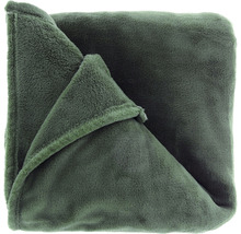 Wohndecke Plaid Claudi grün 150x200 cm-thumb-0 Wohndecke Plaid Claudi grün 150x200 cm-thumb-0
