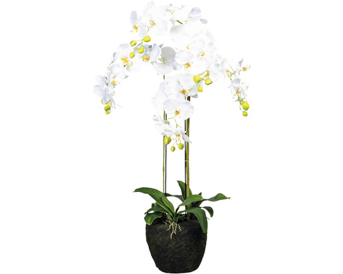 Kunstpflanze Phalaenopsis Hhe: 100 cm wei | HORNBACH
