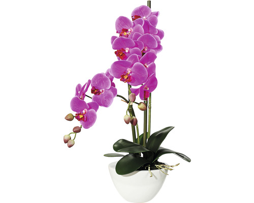 Kunstpflanze Phalaenopsis Höhe: 50 cm lila