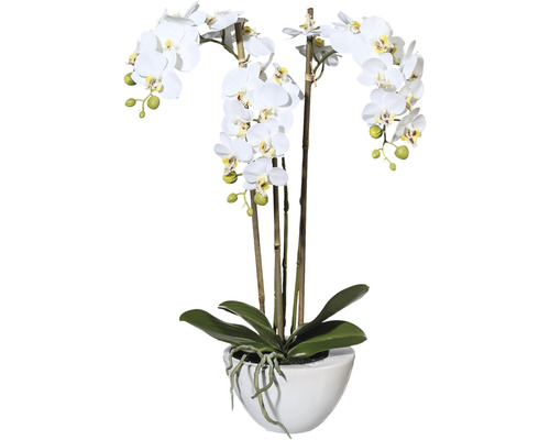 Kunstpflanze Miniphalenopsis Höhe: 51 cm weiß