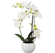 Kunstpflanze Phalaenopsis schmal Höhe: 42 cm weiß