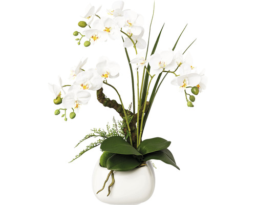 Kunstpflanze Phalaenopsis Höhe: 46 cm weiß
