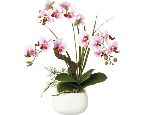 Shindigz Folienballon Geburtstag Sonne Blumen – 46 Cm, Holografisch, Mit Helium Füllbar