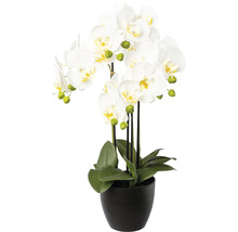 Künstliche weiße Orchidee im schwarzen Topf als Dekoration