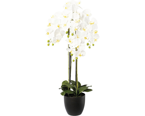 Kunstpflanze Phalaenopsis Höhe: 99 cm weiß