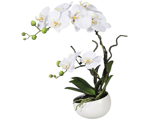 Kunstpflanze Phalaenopsis Höhe: 42 cm weiß