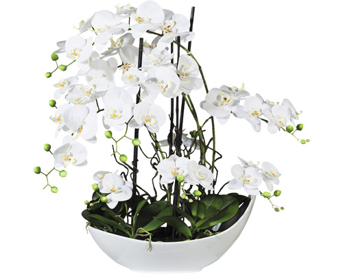 Kunstpflanze Phalaenopsis Höhe: 68 cm weiß