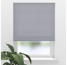 Graues Faltrollo am Fenster