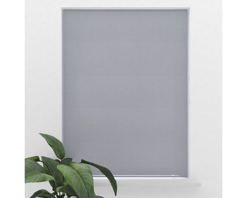 Graues Rollo vor einem Fenster mit einer Zimmerpflanze