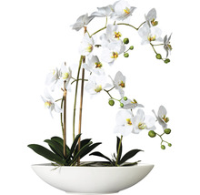 Dekorative weiße Orchidee in einer Keramikschale