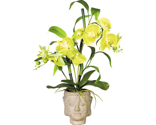 60 Höhe: HORNBACH | Kunstpflanze cm grün Orchidee