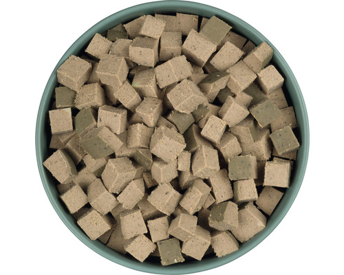 Hundenahrung in Würfelform in einer Schüssel