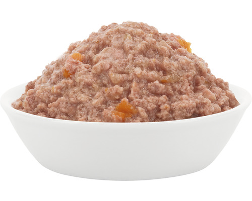 Katzenfutter mit Fleisch und Gemüse in einer weißen Schale