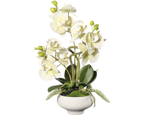 Kunstpflanze Orchidee Höhe: 50 cm grün