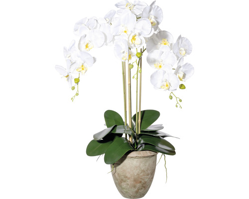 Kunstpflanze Orchidee Höhe: 75 cm weiß