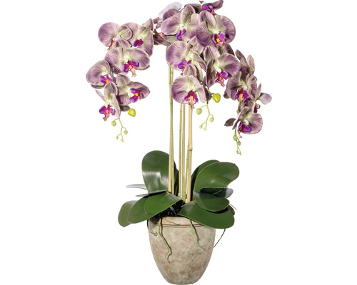 Kunstpflanze Orchidee Höhe: 75 cm grün