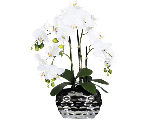 Kunstpflanze Phalaenopsis Höhe: 55 cm weiß