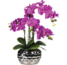 Kunstpflanze Phalaenopsis Höhe: 55 cm lila