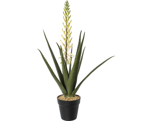 Kunstpflanze Aloe mit Blüten Höhe: 65 cm grün