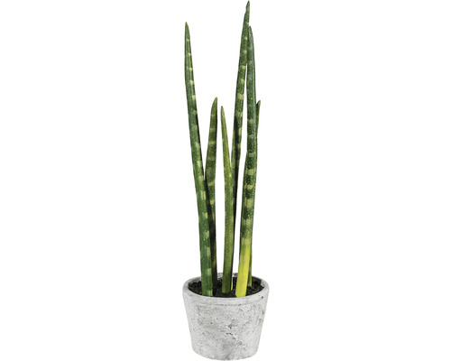 Kunstpflanze Sanserveria Höhe: 40 cm grün