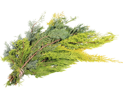 Handbund Mix 3 Sorten 0,5-0,6 kg Schnittgrün Zypressen-Bund zur Dekoration
