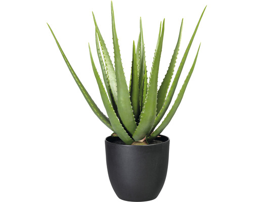Kunstpflanze Aloe Höhe: 55 cm grün