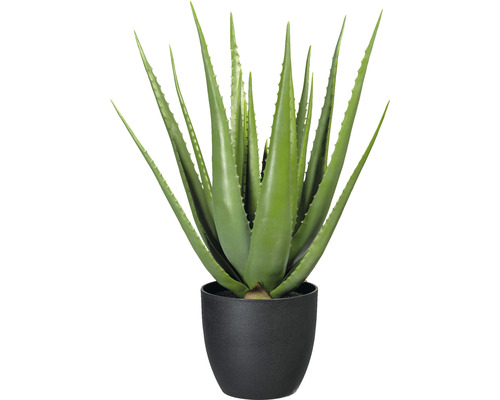 Kunstpflanze Aloe Höhe: 66 cm grün