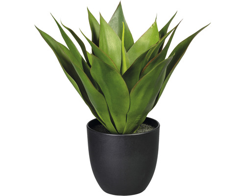 Kunstpflanze Agave Höhe: 36 cm grün