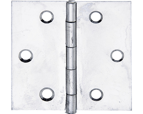 Türscharniere aus Edelstahl mit Hebefunktion, Rechts, 76 mm, 1 Paar 3'' :  : Baumarkt