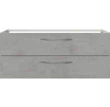 Waschtischunterschrank Pelipal Xpressline 4035 BxHxT 116 x 48,2 cm x 43,5 cm Frontfarbe grau 4035.031101