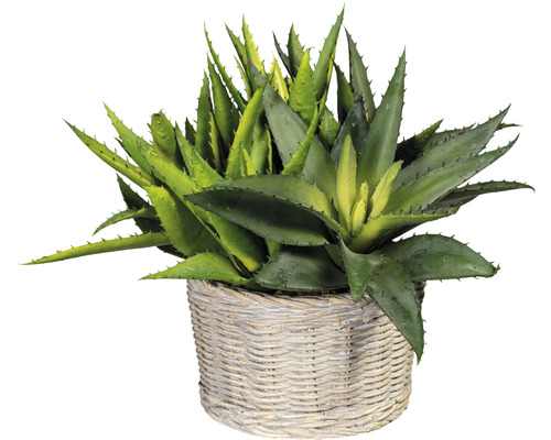 Kunstpflanze Sanserveria Höhe: 70 cm grün