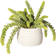Kunstpflanze Sedum Höhe: 25 cm grün