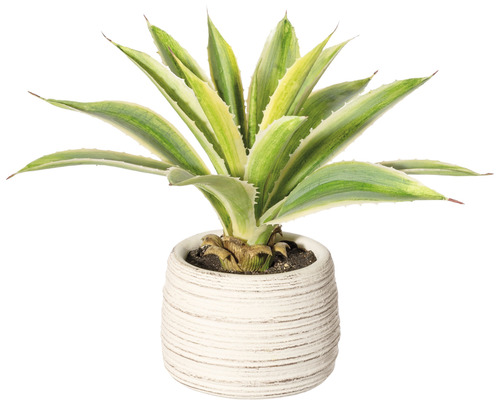 Kunstpflanze Agave Höhe: 25 cm grün | HORNBACH