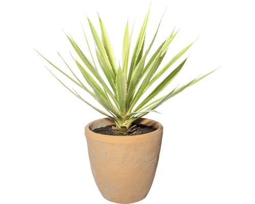 Kunstpflanze Yucca Höhe: 45 cm grün