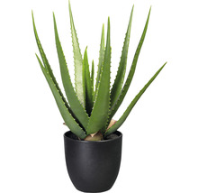 Kunstpflanze Aloe Höhe: 47 cm grün