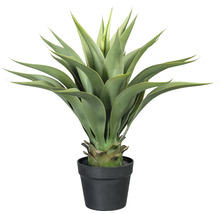 Kunstpflanze Agave Höhe: 57 cm grün