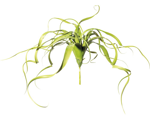 Kunstpflanze Tillandsienhänger Höhe: 32 cm grün