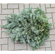 Koniferenzweig auf Pflastersteinen