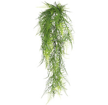 Hängepflanze mit filigranen Blättern